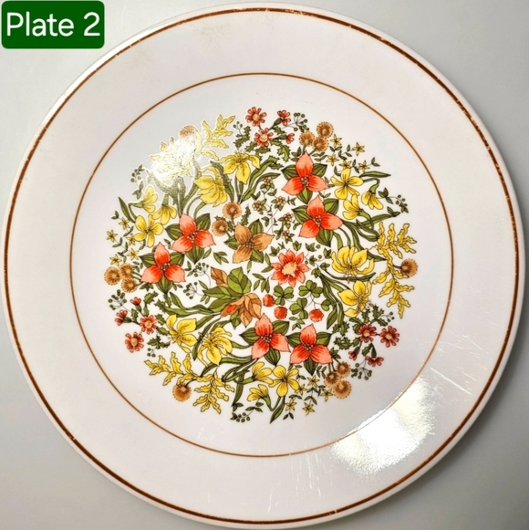 Vintage Corelle by CorningWare Indian Summer Dinner Plate Set of 2 - Picture 11 of 13